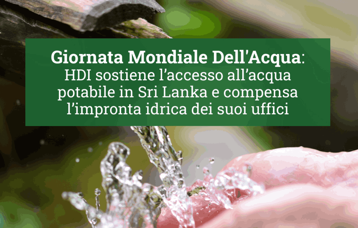 auto-motori image